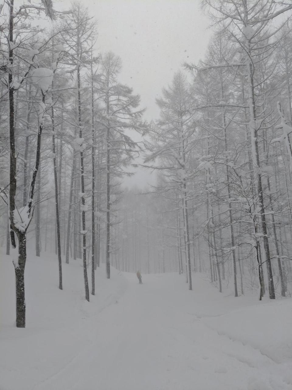 Raicho Lodge Madarao Iiyama Exteriör bild